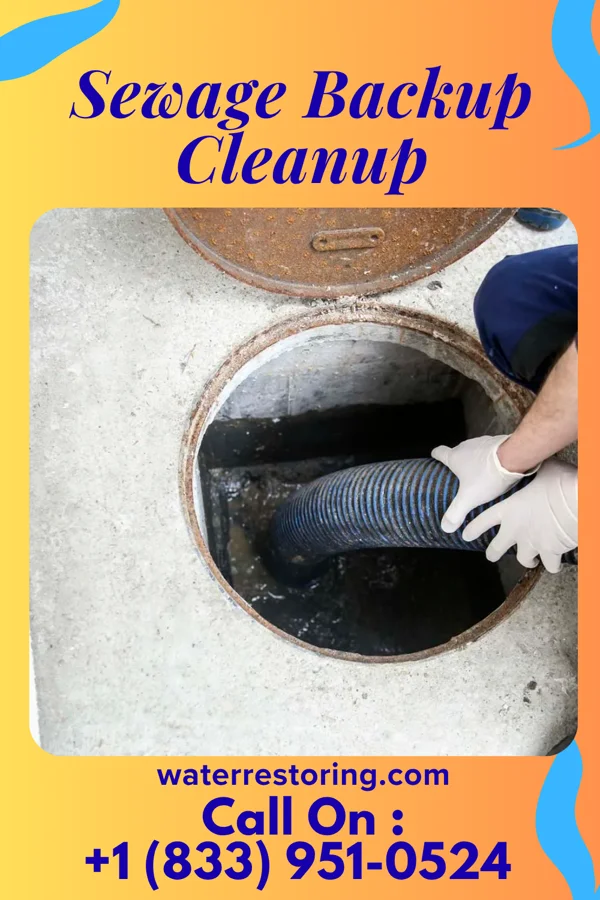 Sewage Backup Cleanup in Arthurtown, SC