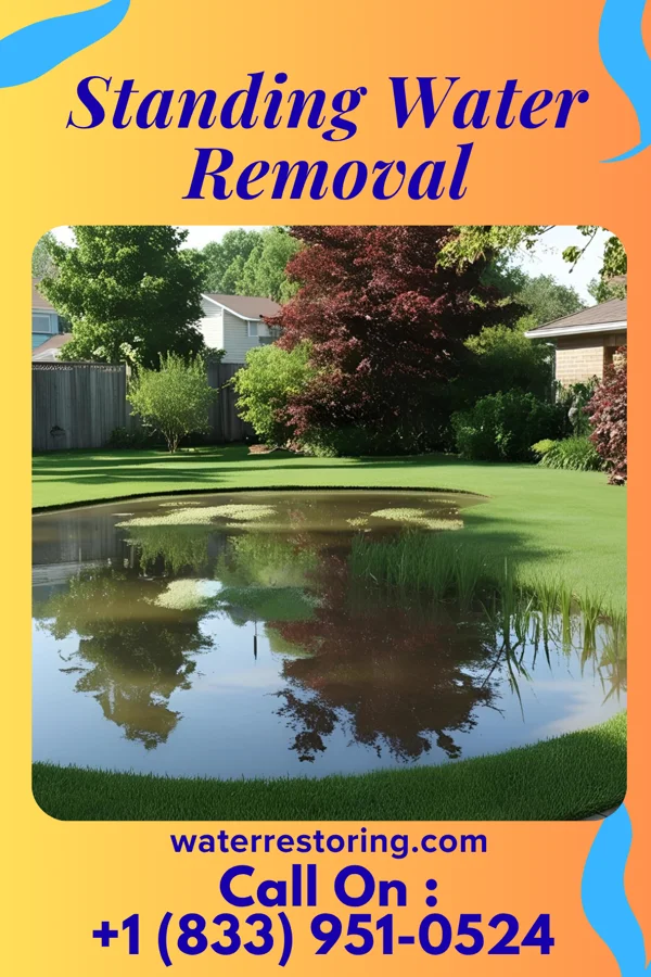 Standing Water Removal in Arthurtown, SC